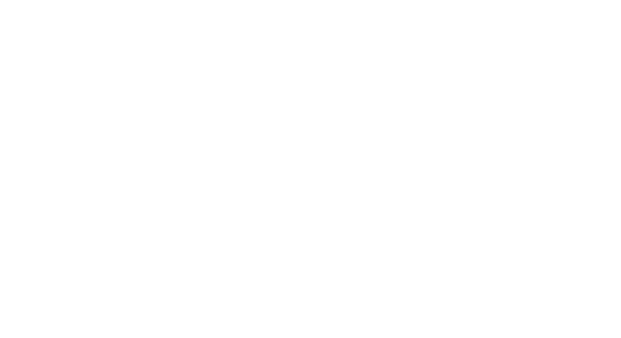 logo DP Brakes blanco